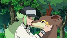 SAWbuck SAWBUCK