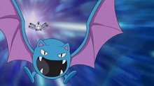 golbat golbat