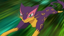 Liepard Liepard