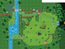 Pokemon Village