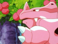 Růžový Rhyhorn jí bobule