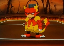 Magmar Magmar