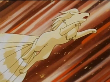 Ninetales Ninetales