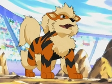 Arcanine Arcanine