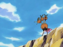 Dodrio Dodrio