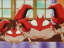 Krabby Krabby