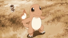 Charmander Charmander