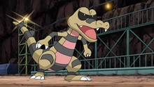 Krokorok Krokorok