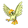 pidgeotto pidgeotto