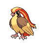 Pidgeot Pidgeot