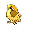 pidgeot pidgeot