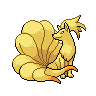 Ninetales Ninetales