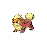 Growlithe Growlithe