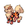 Arcanine Arcanine