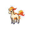 Ponyta Ponyta