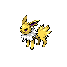 Jolteon Jolteon