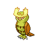 noctowl Noctowl