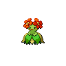 Bellosom Bellosom