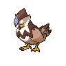Staraptor Staraptor