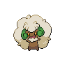 Whimsicott Whimsicott