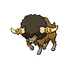 Bouffalant Bouffalant