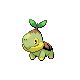 Turtwig