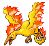 Moltres Moltres