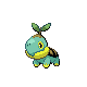 Turtwig - shiny